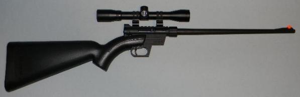 AR-7 with Rifle Scope