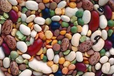 Assortment of Beans