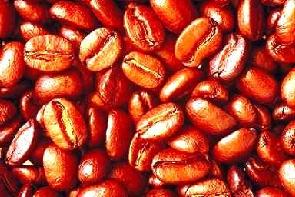 Coffee Beans - Lightly Roasted
