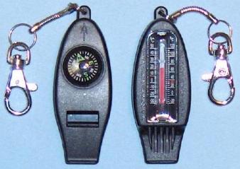 Compass and Thermometer