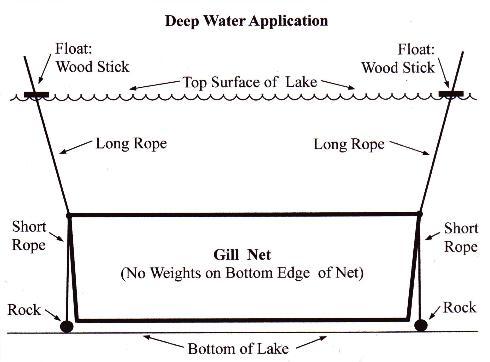 Deep Water Gill Net Application