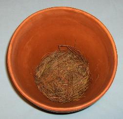 Layer of Brown Pine Needles on Bottom of Flower Pot