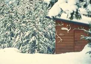 Cabin in WInter