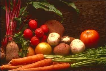 Garden Vegetables