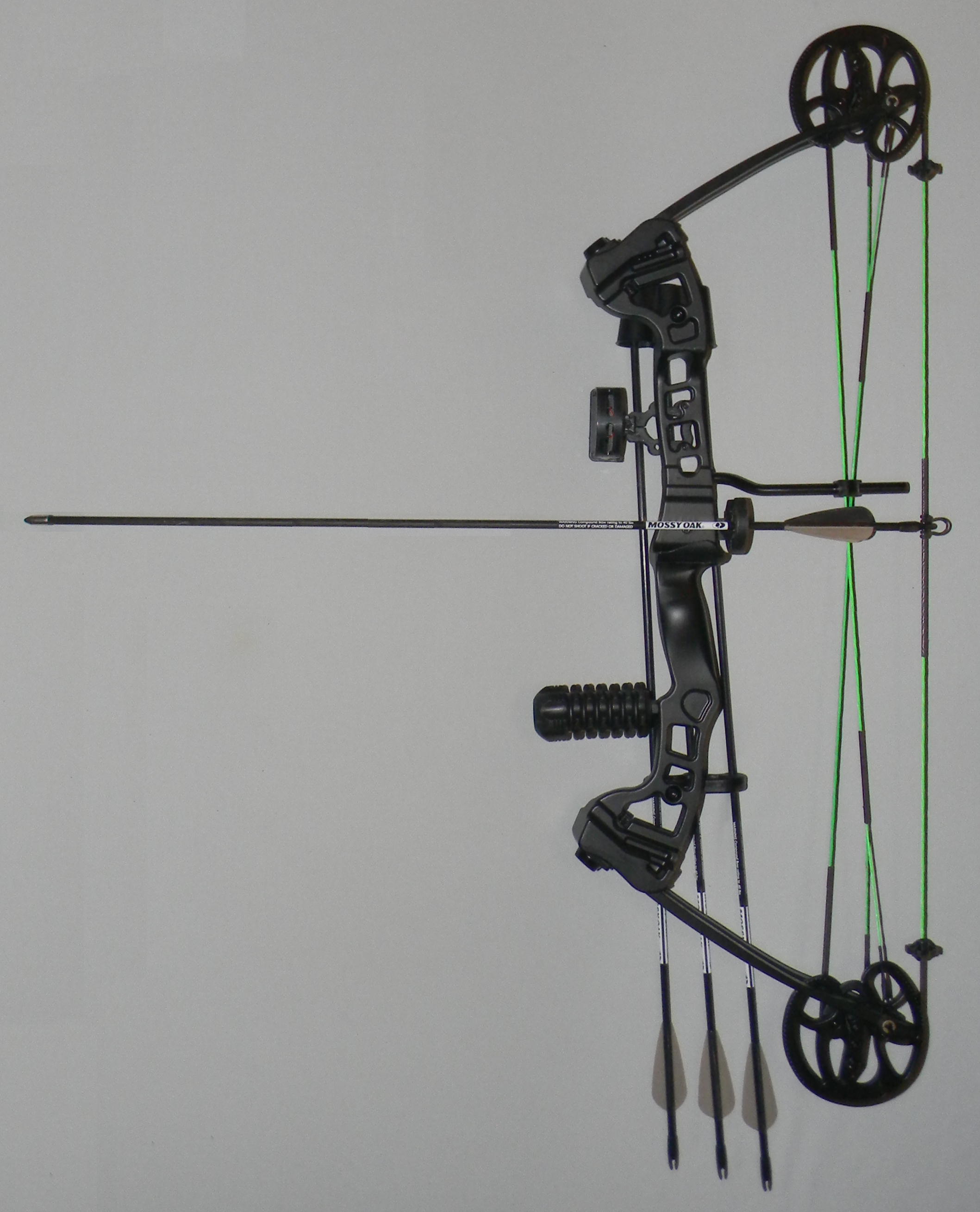 Adult Compound Bow