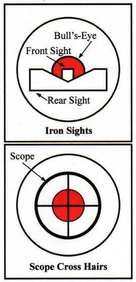Rifle Iron Sights and Scope