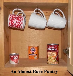 An Almost Empty Pantry