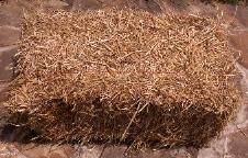 Bale of Wheat Straw