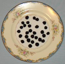 A Few Dried Blueberries