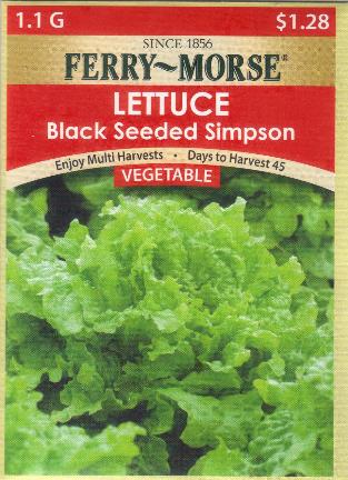 FM Lettuce Black Seeded