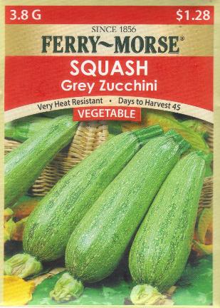 FM Squash Grey Zucchini